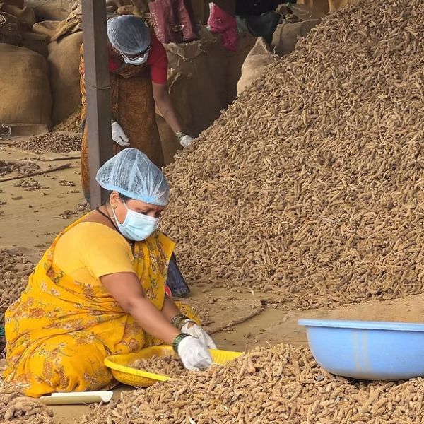 Premium agricultural products prepared for domestic and export markets