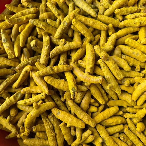 Asiatic Farmer Produce team managing agricultural sourcing and processing