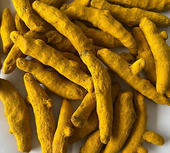 Erode Turmeric